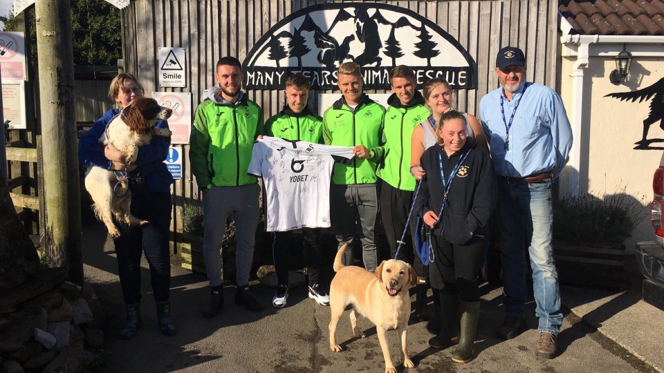 Swansea City lend helping hand at dog rescue centre Swansea